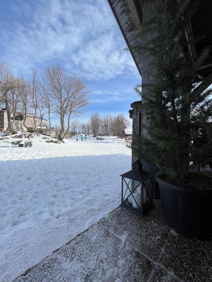 Chalet Burja At Vogel Mountain - Cable Car Access Or Hiking - Not Reachable With Car بوينج المظهر الخارجي الصورة