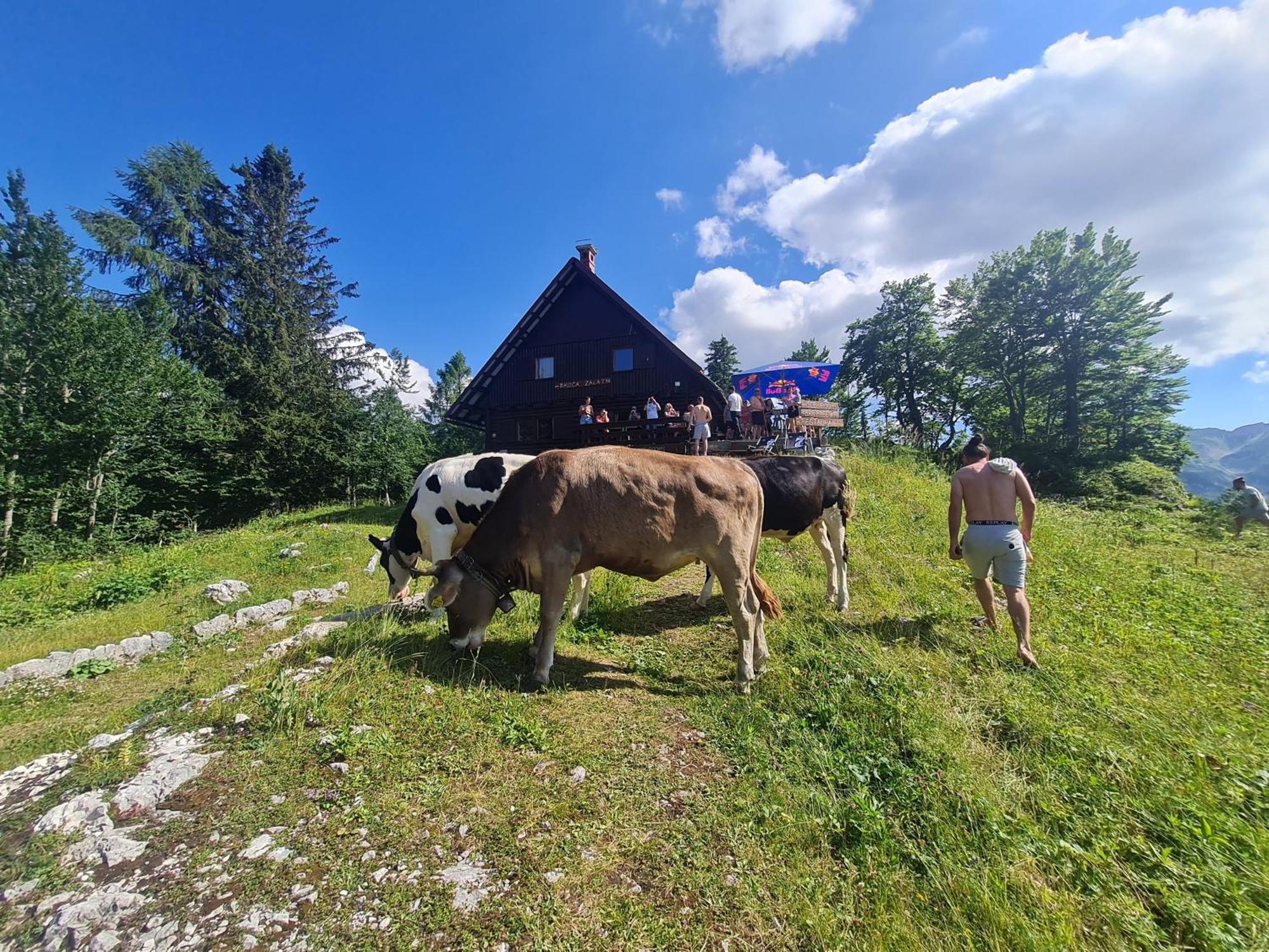 Chalet Burja At Vogel Mountain - Cable Car Access Or Hiking - Not Reachable With Car بوينج المظهر الخارجي الصورة
